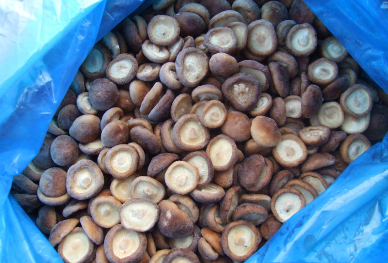 1-2006240UHU04.jpg